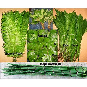 Deer & Sword Fern, Equisetum, and Salal, 400 Fresh Cut, Stems